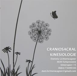 Logo für Craniosakral & Kinesiologie, Daniela Lichtenwagner